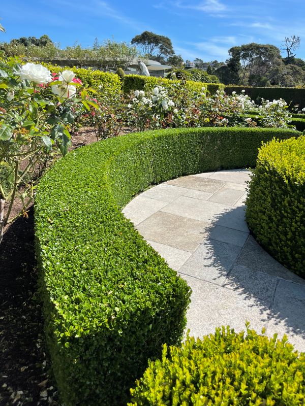 Garden tidy up Auckland