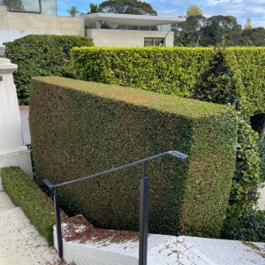 property garden care auckland