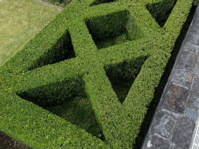 Auckland landscaping services