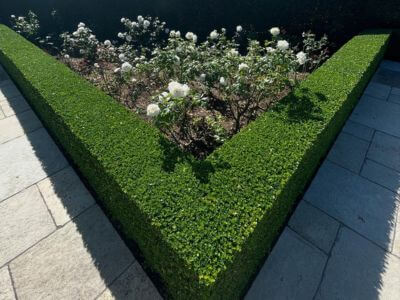 Garden Makeover Auckland