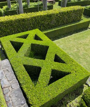 Garden clean up Auckland