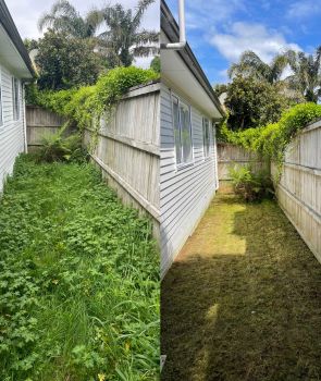 Garden Maintenance Services Auckland
