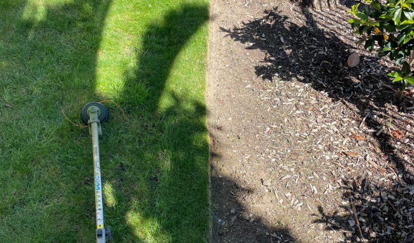 Grass cutting Auckland
