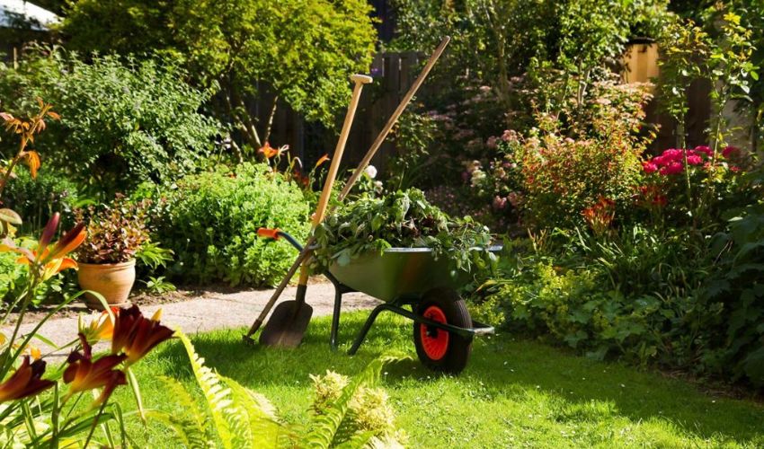 Backyard refresh Auckland