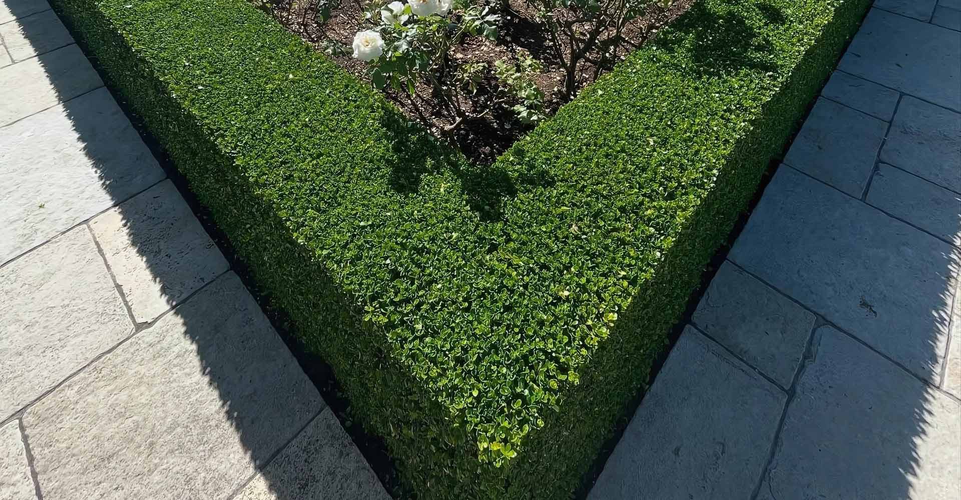 Gardening Services Auckland