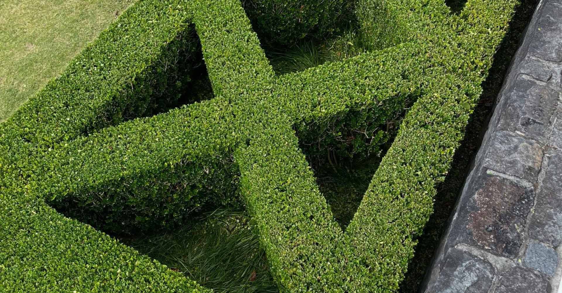 lawn mowing auckland